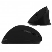 Image of Wired Mouse Delux DLM M618SE, Vertical, USB