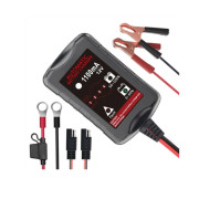 image-Battery Chargers - SLAB and Automotive 