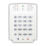 Клавиатура LED PARADOX K10V